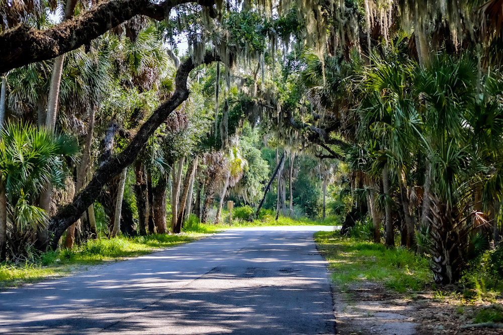 Myakka Road Photography Art | Jim Hoover Fine Art Photography