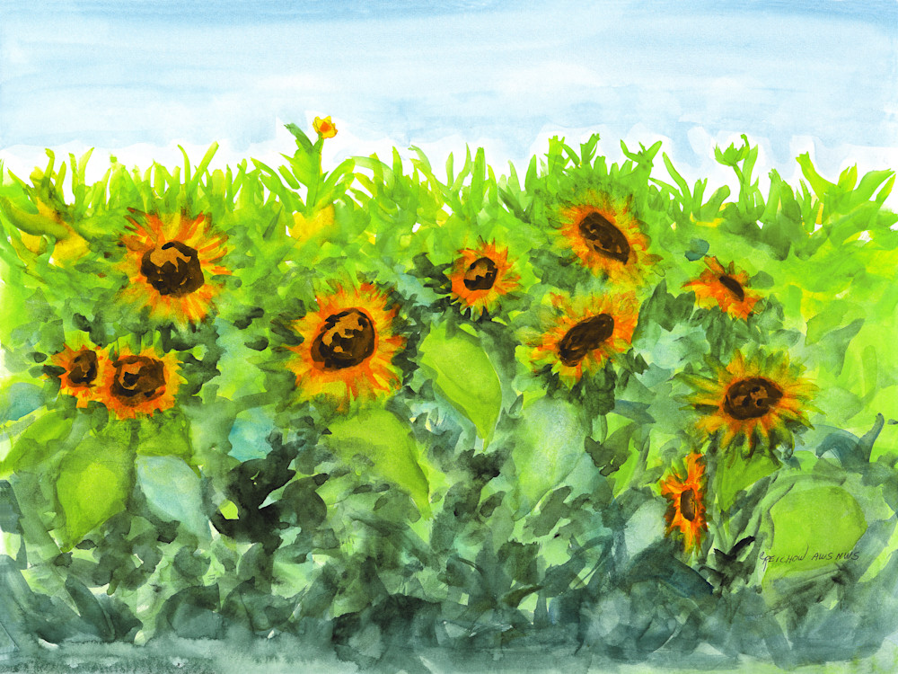 Summer Sunflowers Art | Christine Reichow Inc.