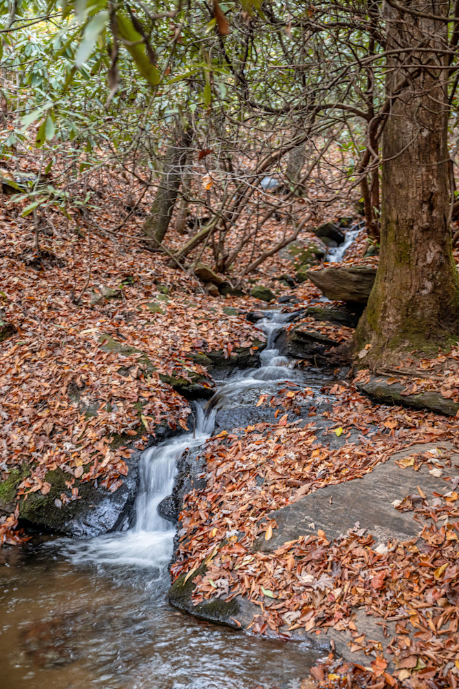 Bartram Trail Wallace Branch Fall Franklin 10 28 22 0689 Photography Art | kramkranphoto
