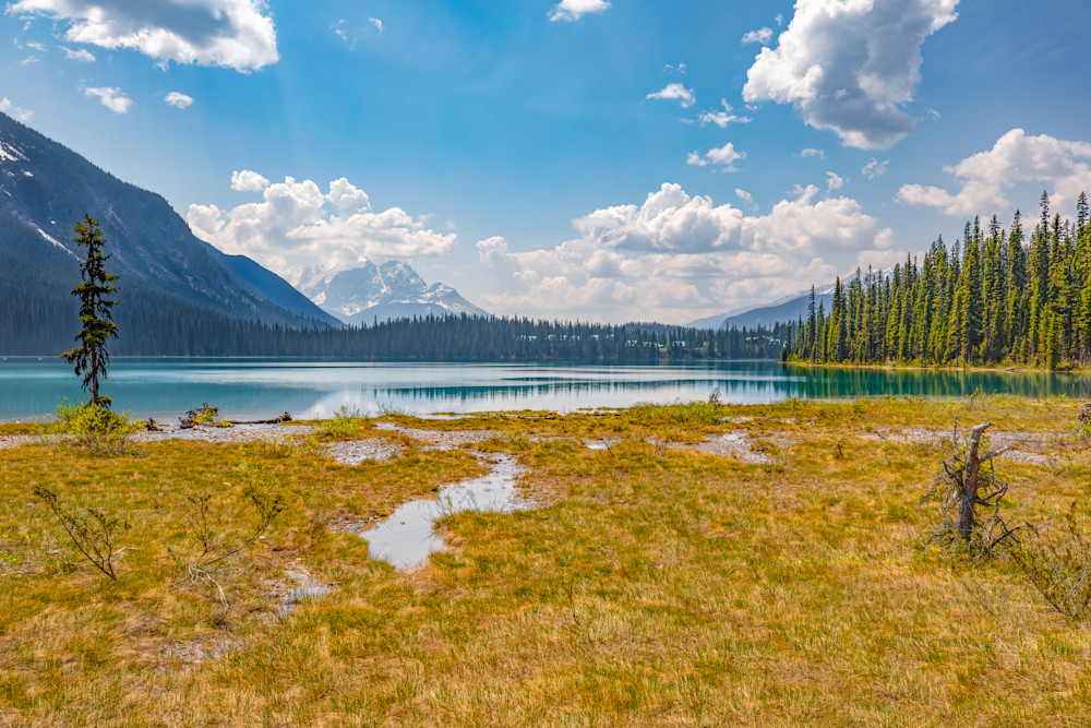 The Meadow Of Emerald Lake Photography Art | Kelly Foreman Photography