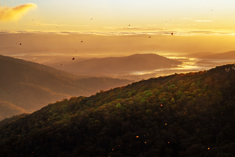 Mountain Sunrise with Fall Leaves in Shenandoah National Park, Virginia -- Fine Art Photography Wall Art