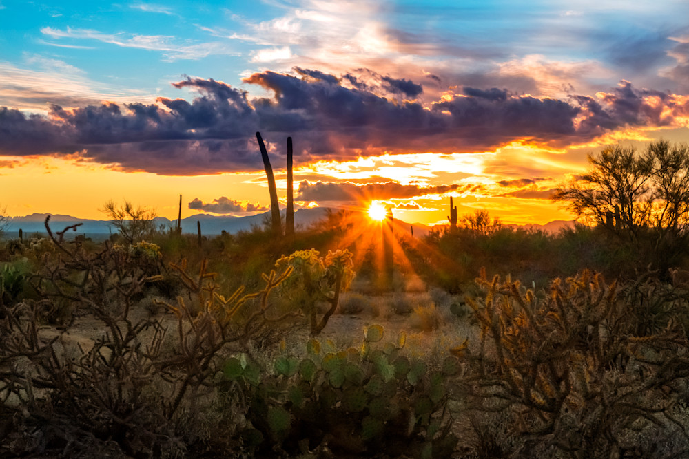 Sunset In The Sonoran Desert Photography Art | Images By Cheri