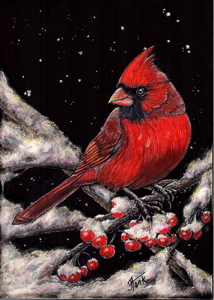 Christmas Cardinal With Berries Art | janetfunk