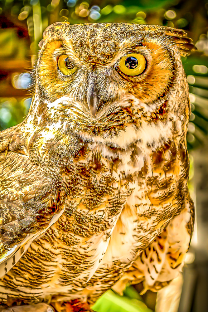 Great Gatsby Photography Art | Jim Hoover Fine Art Photography