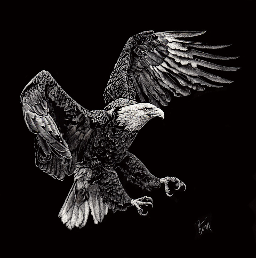 Freedom Flight Art | janetfunk