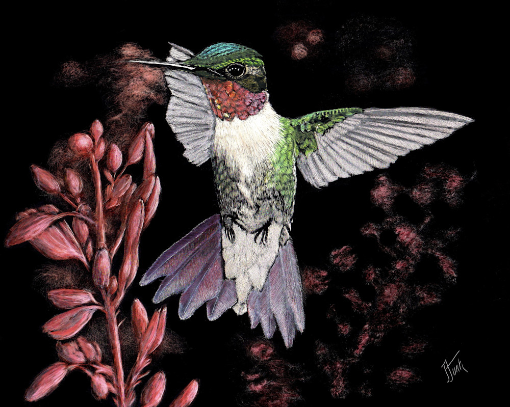 Iridescent Hummingbird Art | janetfunk
