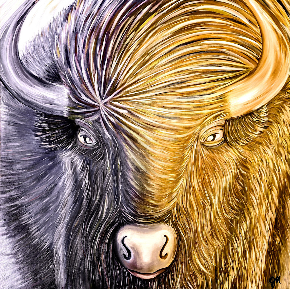 Co Buffaloes Print Art | Messyhair Creations