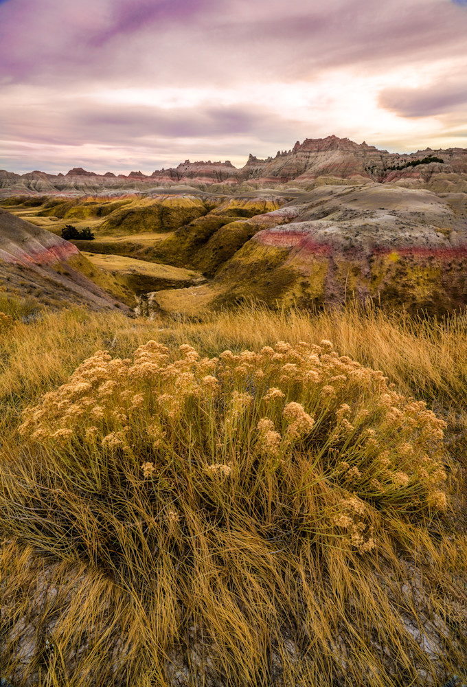 Fall Foliage In The Badlands Photography Art | Kates Nature Photography, Inc.