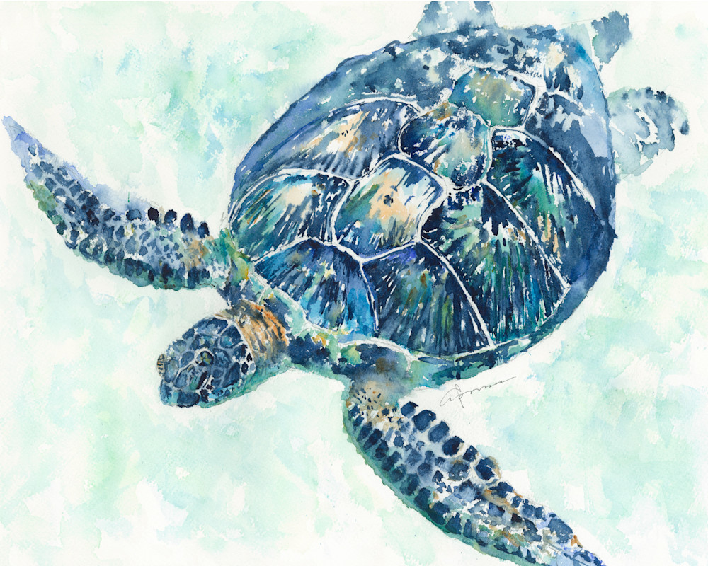 Sea Turtle 8a Art | Claudia Hafner Watercolor