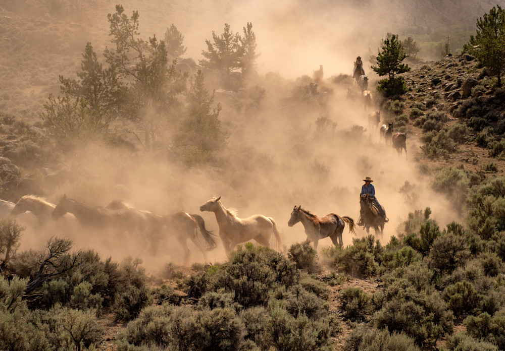 Wyoming horse run 01
