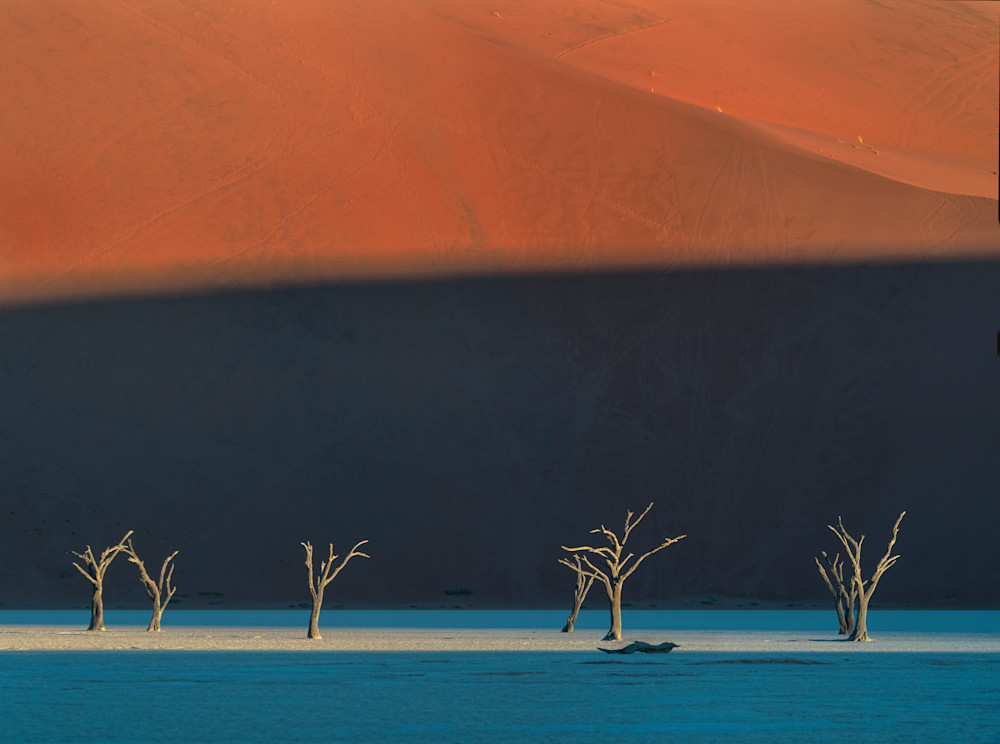 Namibia Deadvlei Trees