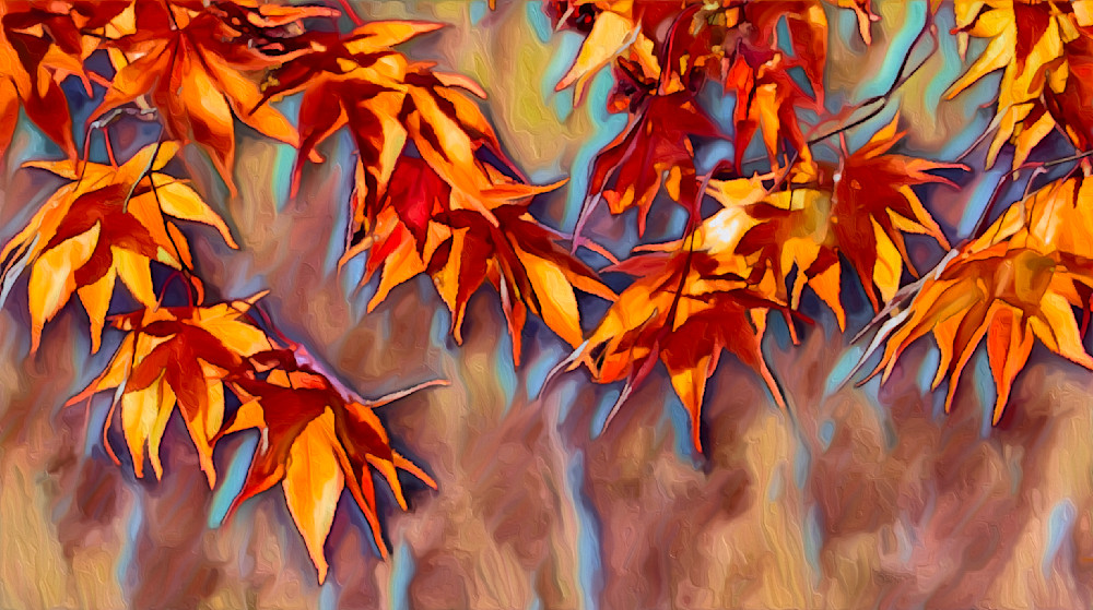 Orange Red Maple Art | Siegel PhotoArt