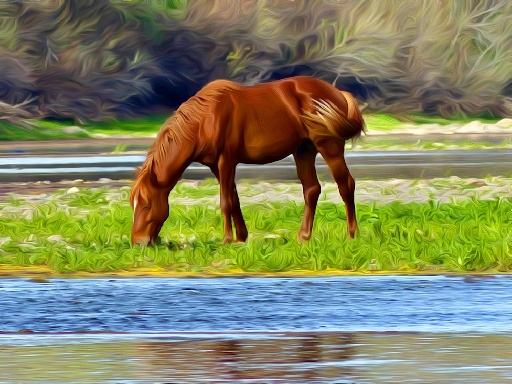 Wild Horse Art | Siegel Photography, LLC