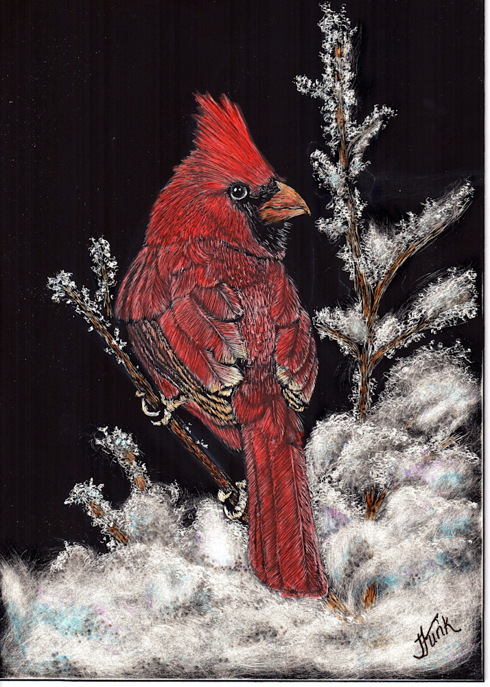 Cardinal Snowy Tree Top Art | janetfunk