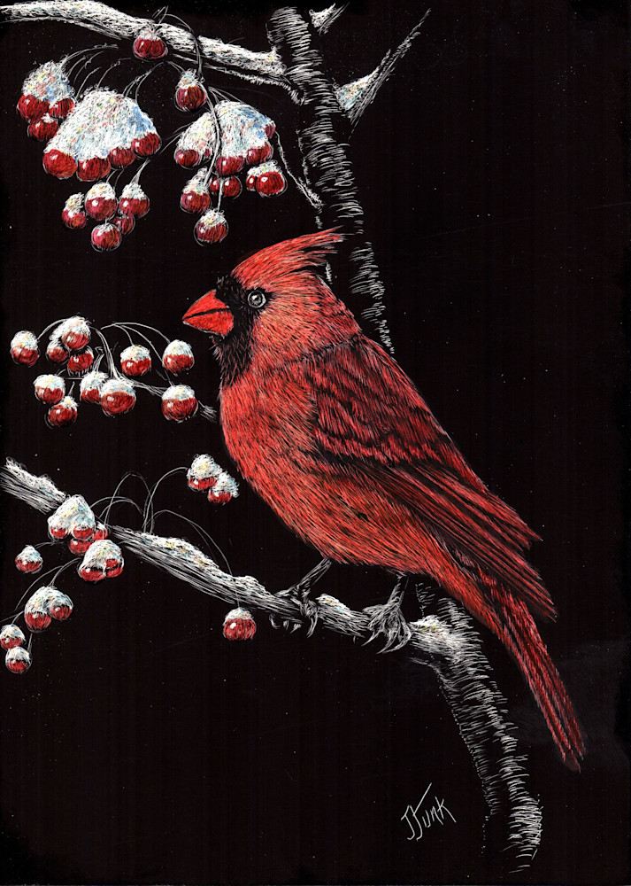 Cardinal And Berries Art | janetfunk