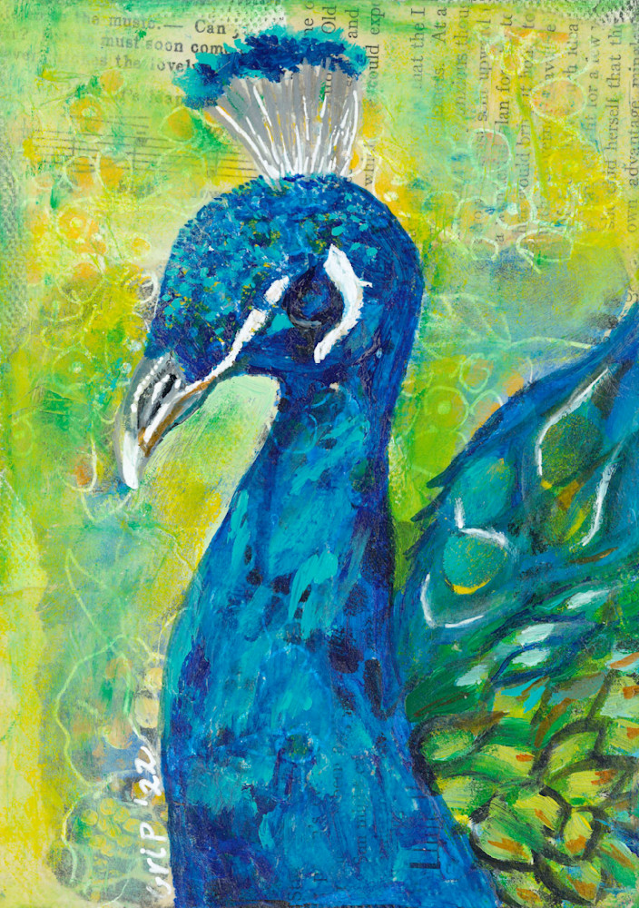 Kevin The Peacock Art | Beautiful Purpose Art