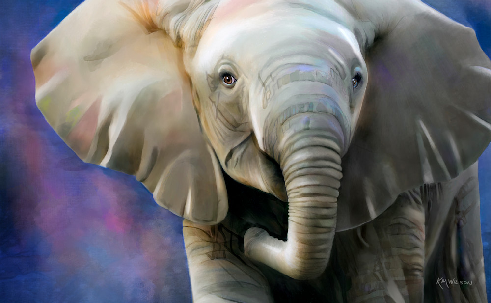 Eli The Baby Elephant Art | Pendragon Art Studios