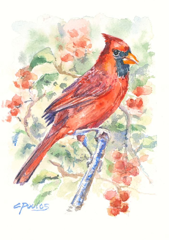 Cardinal   Symbol Of Hope Art | Cathy Poulos Art