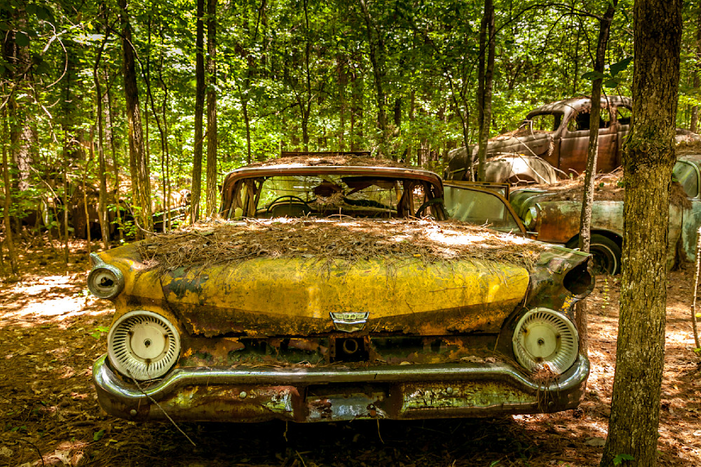 Parked 59 Ford  Photography Art | Paul Kober Photo