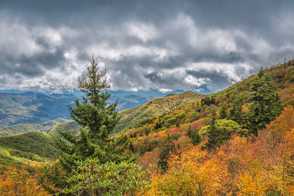 Appalachian Autumn Art | Rhonda Kingen Photography