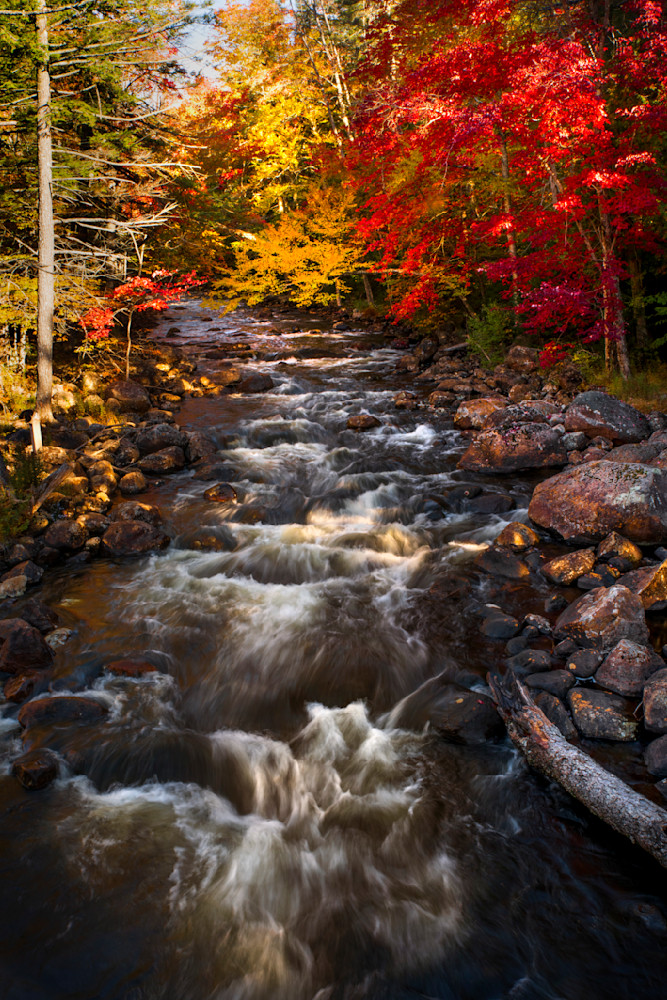 Moose River Fall 7 Photography Art | Kurt Gardner Photography Gallery