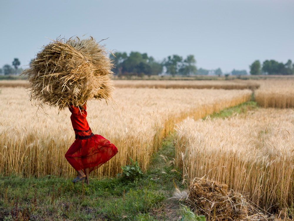 Patna Girl Photography Art | Michael B. Wood Photography
