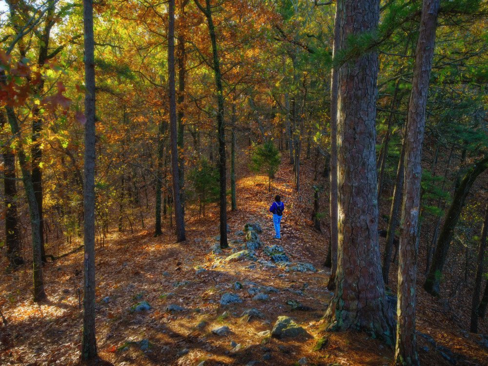Fall Trail in the Cherokee Nation