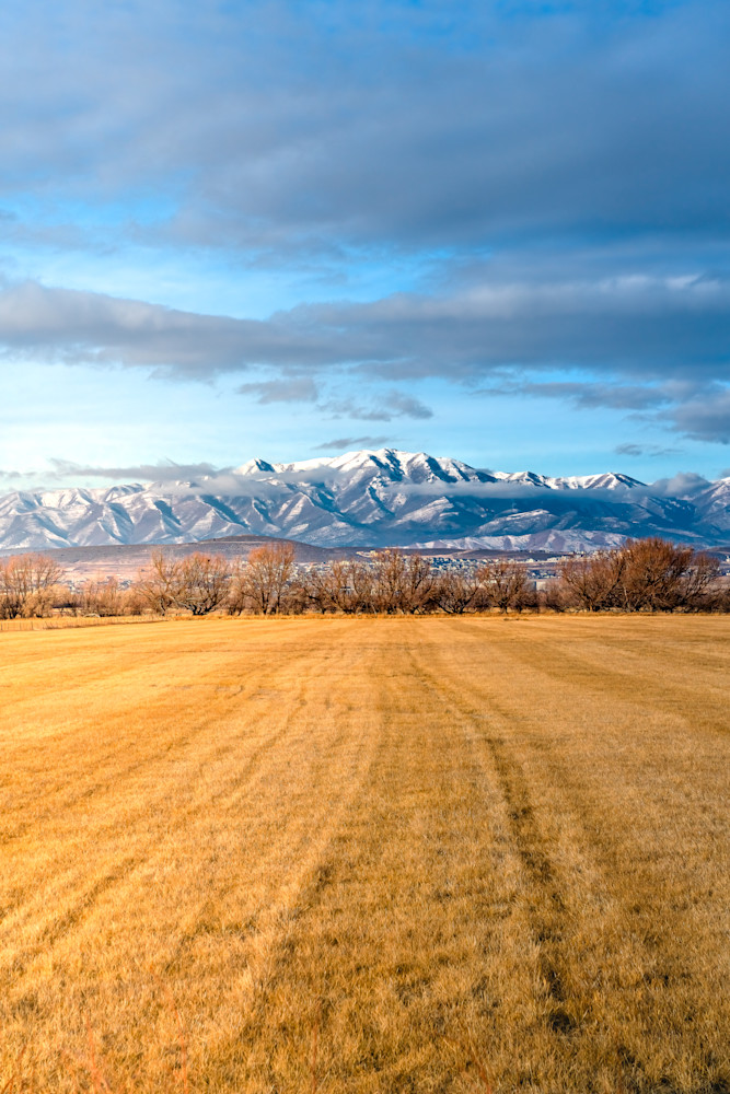 Golden Divide