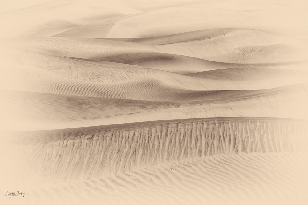Mesquite Sand Dunes Photography Art | Elizabeth Fortney Photography