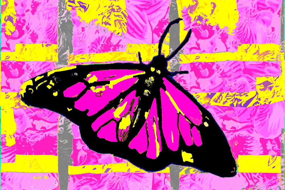 Butterfly In Rose Art | Mish Murphy Fine Art