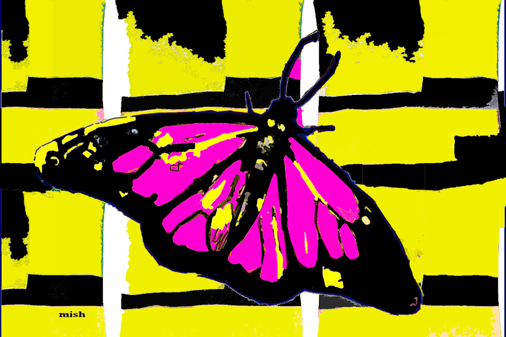 Butterfly In Pink And Yellow Art | Mish Murphy Fine Art