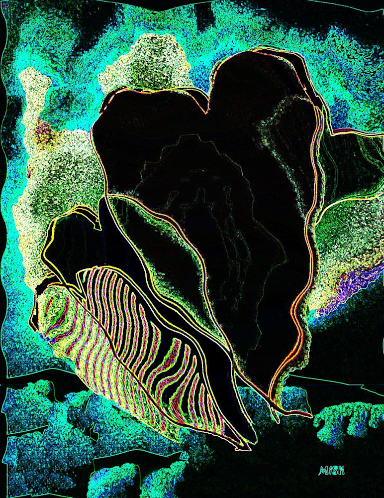 Cat Scan Of Mish S Heart Art | Mish Murphy Fine Art Cat Scan Of Mish S Heart Art | Mish Murphy Fine Art