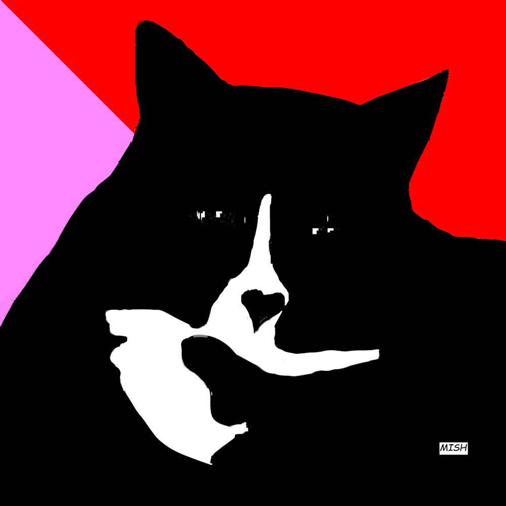 Cool Cat  Art | Mish Murphy Fine Art