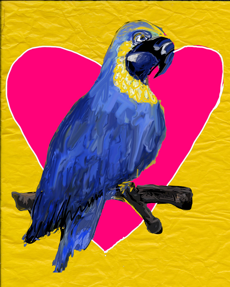 Macaw Art | Mish Murphy Fine Art