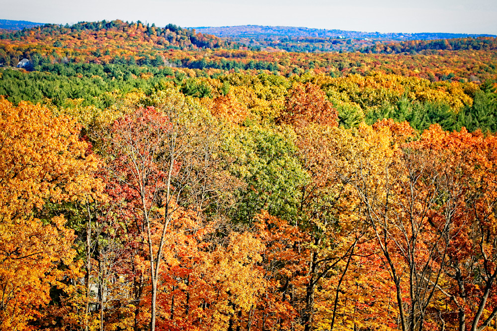 Distant Fall Colors Photography Art | Fred Pais Photography
