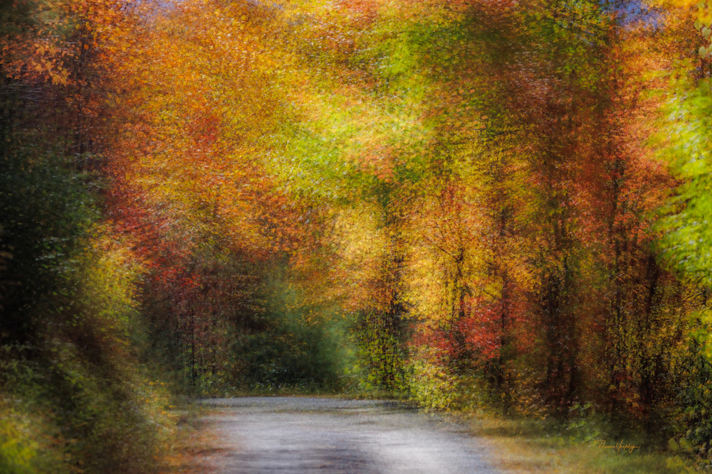 Fall Color Spectacle Photography Art | Thomas Yackley Fine Art Photography