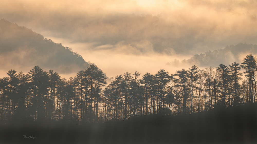 Smoky Mountain Morning Photography Art | Thomas Yackley Fine Art Photography