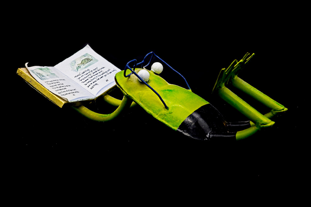 Frog Reading Photography Art | Fred Pais Photography