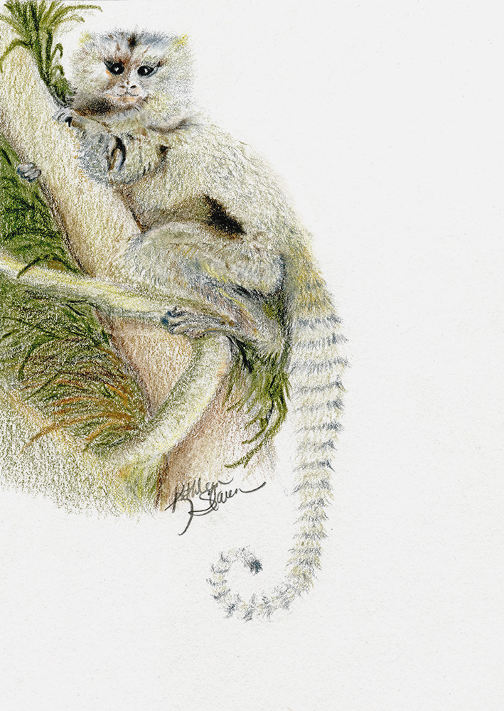 Finger Monkey Art | Kathleen Slaven Art