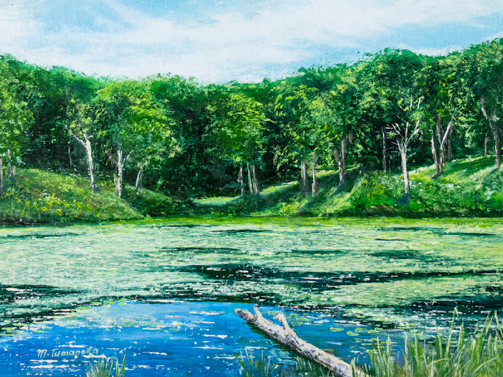 Beautiful Day On The Lake Art | Mariya Tumanova ART