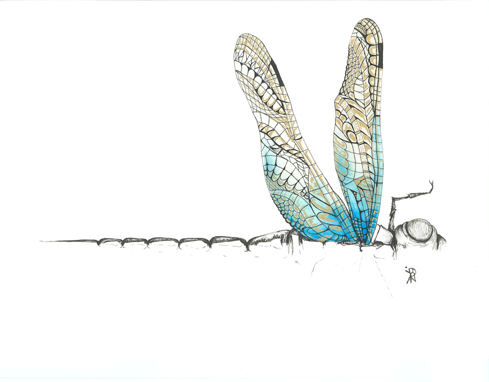 Dragonfly Bm Hd Art | Art With Judy Ann