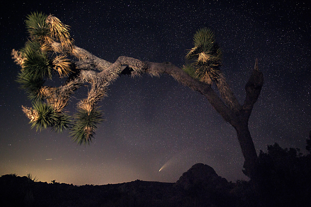 20200715 Ca.Joshua.Tree.Np.Comet.Neowise.3238 Art | Philipson Foundation