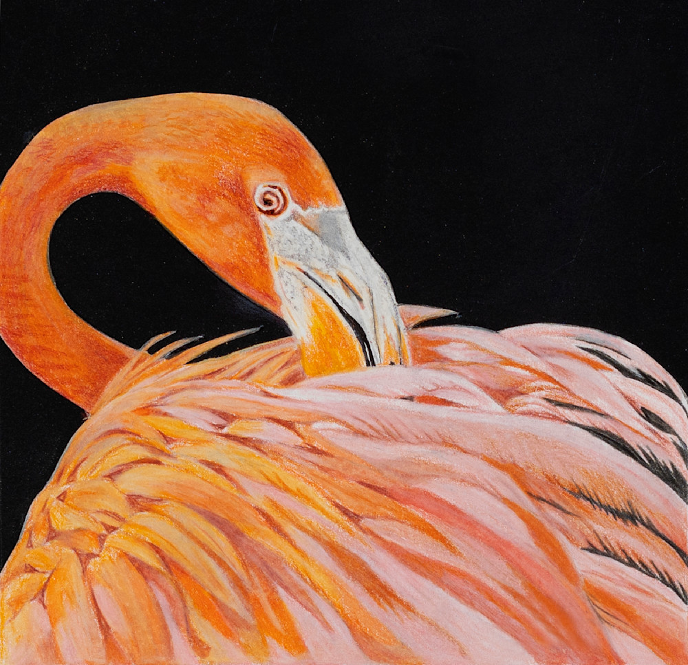 Fiona Flamingo Art | Living Creatively