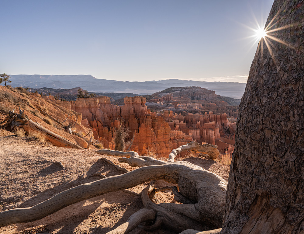 Sunflare   Bryce Canyon, Utah Photography Art | Kim Bova Photography