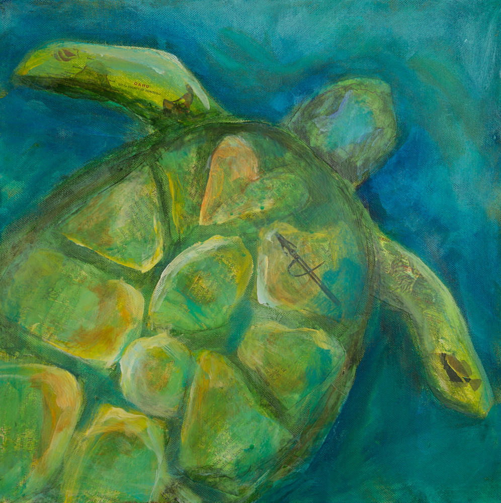 Turtle Love Art | kellymorrison