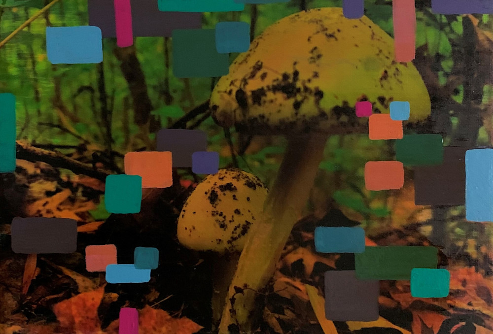 Mushroom Walk Painting 3 (Yellow And Green) Art | jasonhancock