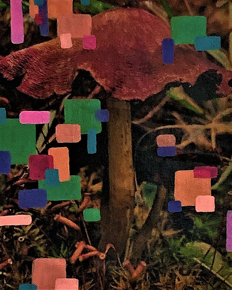 Mushroom Walk Painting 1 Art | jasonhancock