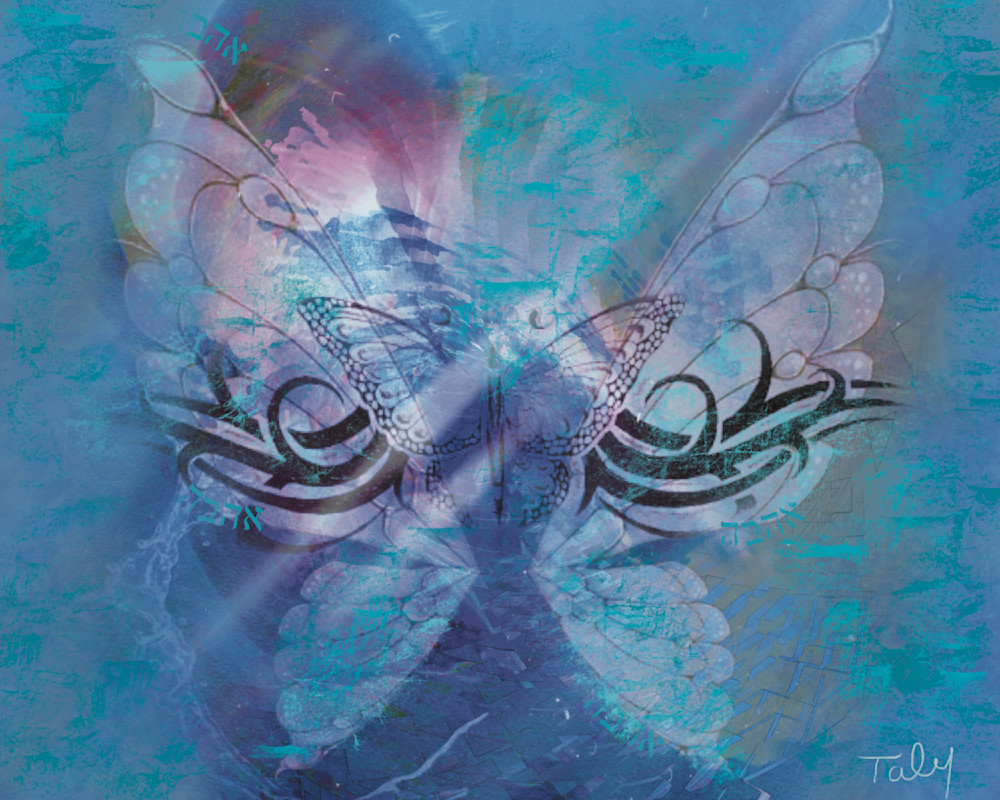 Butterfly   Blues Art | Art by Taly Bar
