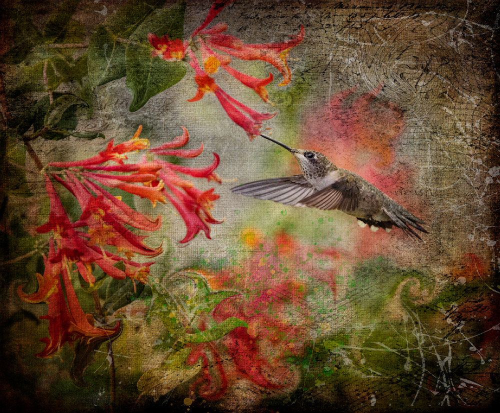 Hummingbird Tapestry Photography Art | Bob Boyd Salty Images