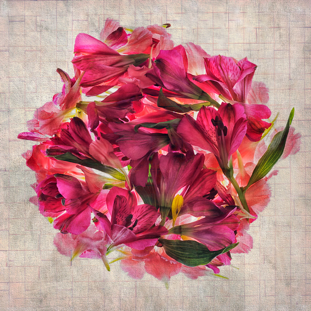 Deconstructed Bouquet Photography Art | Bob Boyd Salty Images